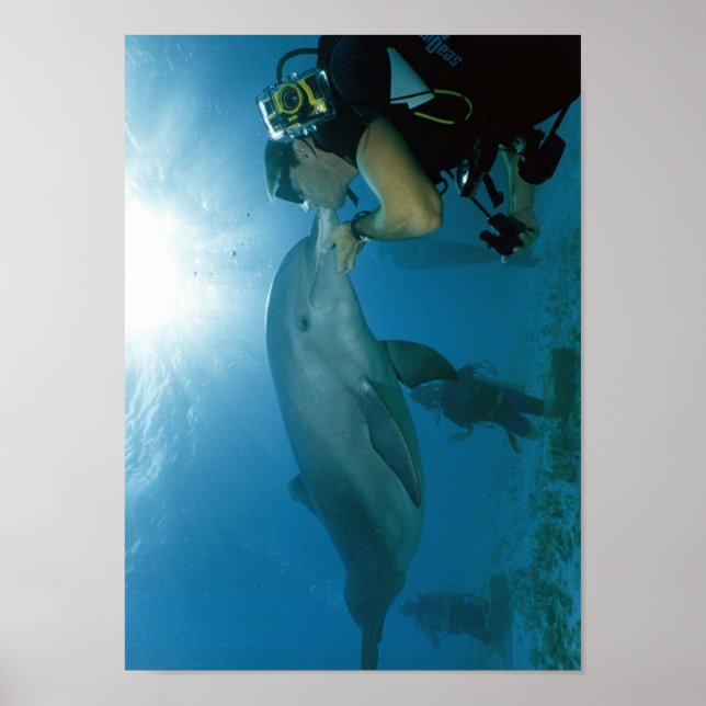 Dolphins Kiss Poster (Front)