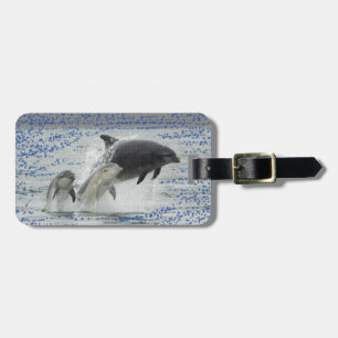 Dolphins Luggage Tag