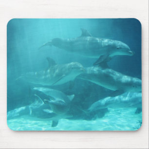 Dolphins Mouse Pad