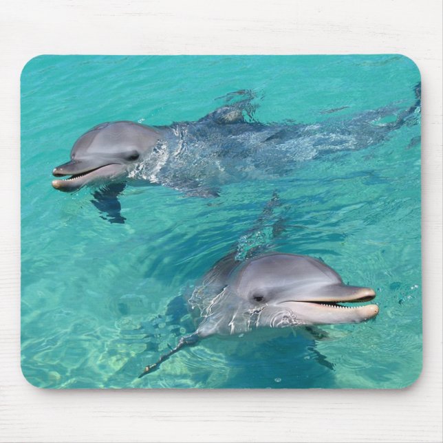 Dolphins Mouse Pad (Front)