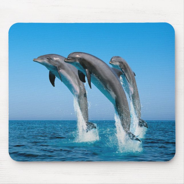 Dolphins Mouse Pad (Front)