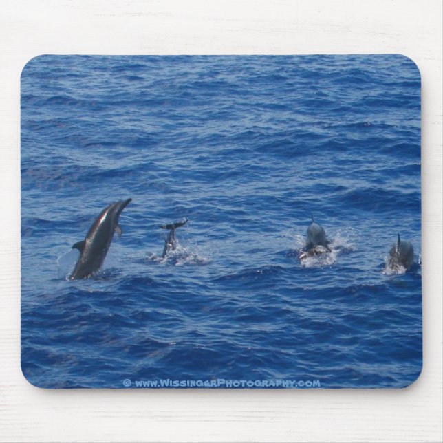 Dolphins ~ Northwest coast of Lanai Mouse Pad (Front)