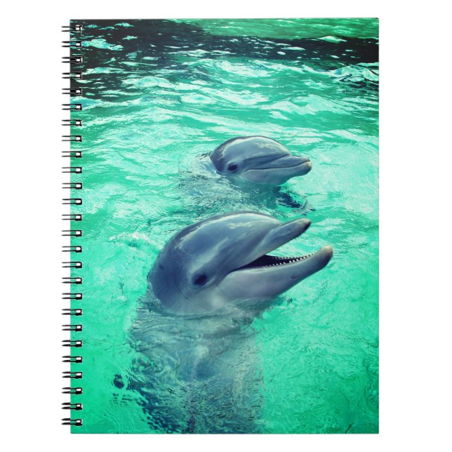 Dolphins Notebook (Front)