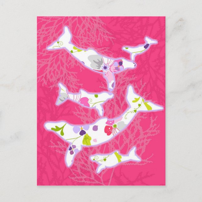 Dolphins on plain pink background. postcard (Front)