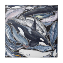 Dolphins, orcas, belugas and narvales