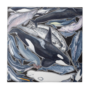 Dolphins, orcas, belugas and narvales tile