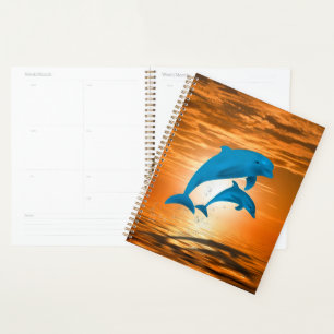 Dolphins Planner