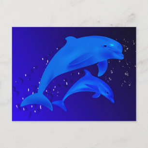 Dolphins Postcard