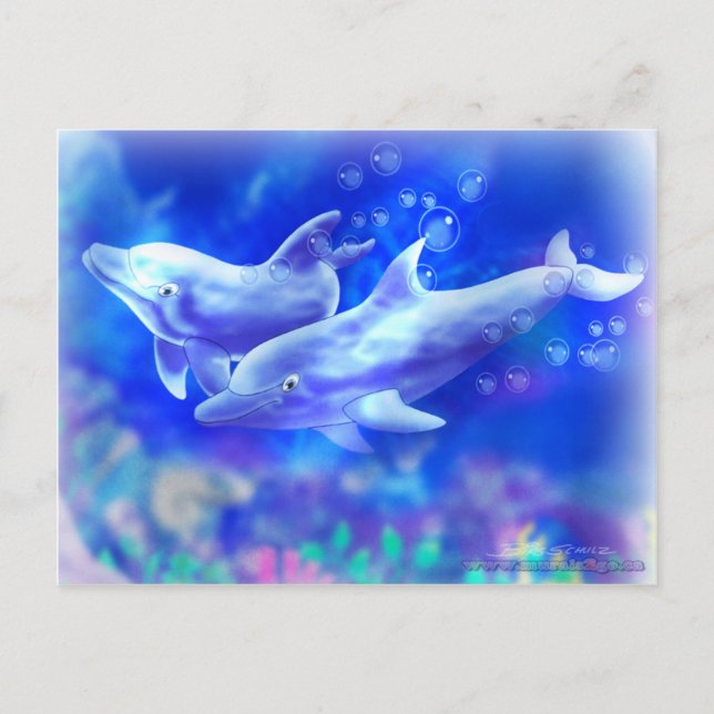 Dolphins Postcard (Front)