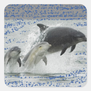 Dolphins Square Sticker
