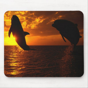 Dolphins Symphony at Sunset Mouse Pad