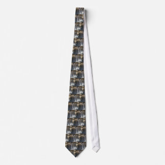 Dolphins Tie