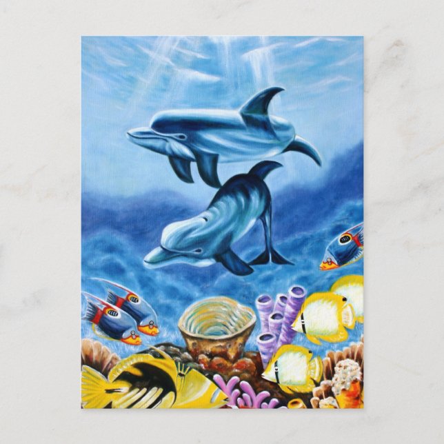 Dolphins Tropical Fish Postcard (Front)