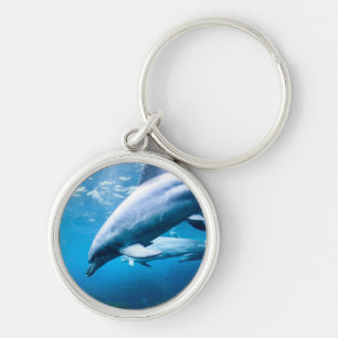 Dolphins Underwater Key Ring