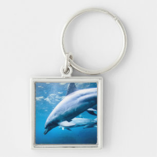 Dolphins Underwater Key Ring