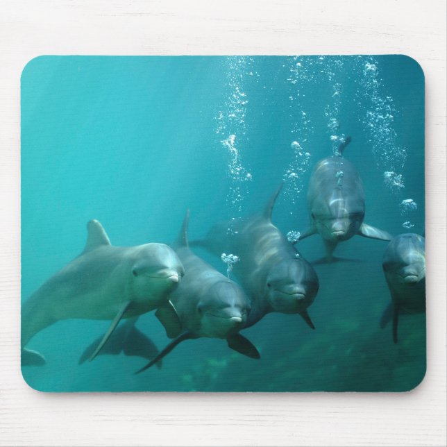 Dolphins Underwater Mouse Pad (Front)