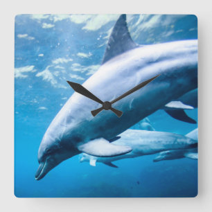Dolphins Underwater Square Wall Clock