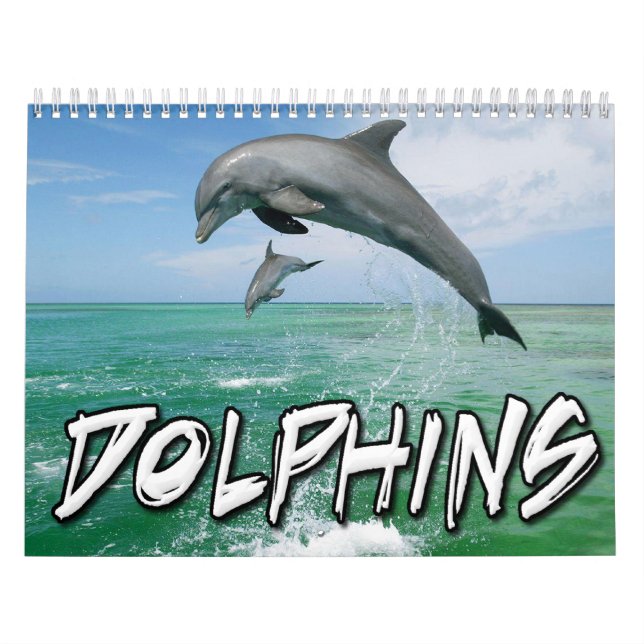 Dolphins Wall Calendar (Cover)