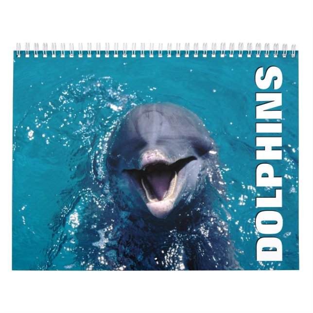Dolphins Wall Calendar (Cover)