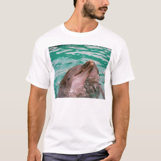 Dolphins white tee