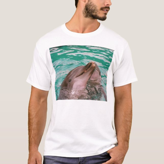 Dolphins white tee (Front)