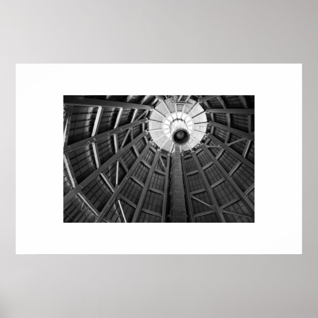 Dome Bones B&W Poster (Front)