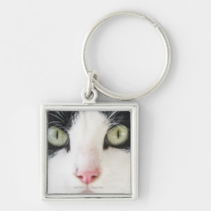 Domestic cat portrait key ring