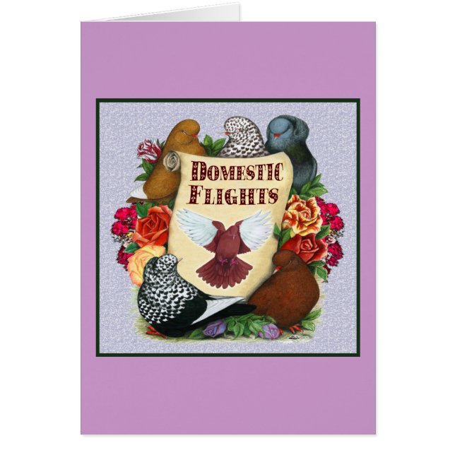 Domestic Flight Scroll (Front)