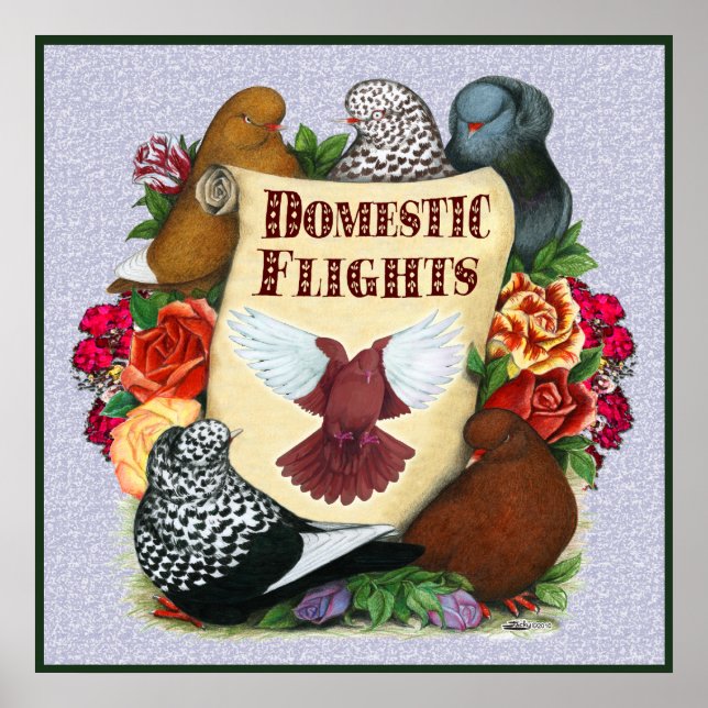 Domestic Flight Scroll Poster (Front)