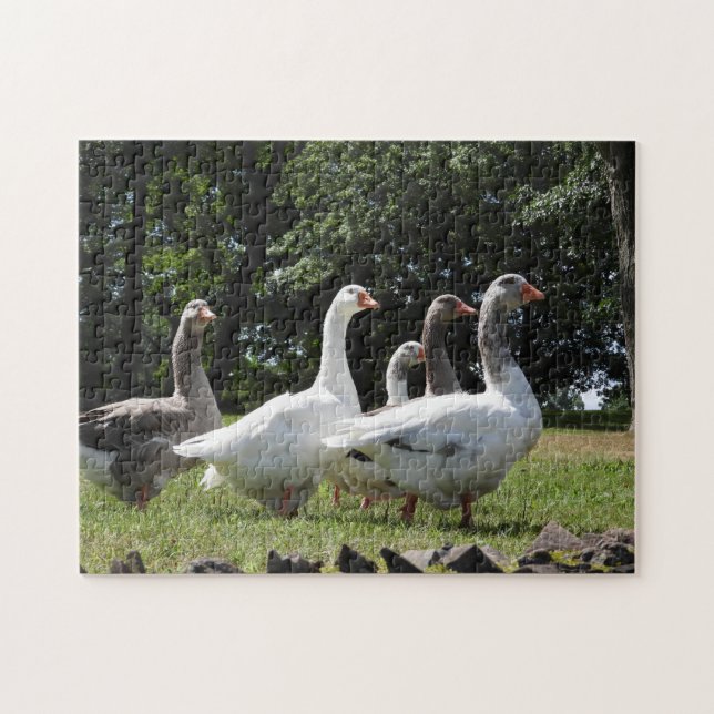 Domestic Geese Jigsaw Puzzle (Horizontal)
