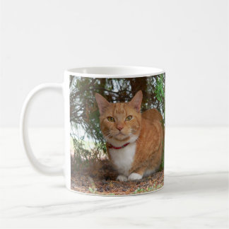 Domestic Orange Ginger Tabby Cat Coffee Mug