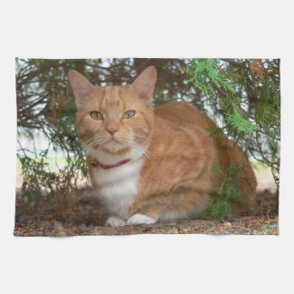 Domestic Orange Ginger Tabby Cat Tea Towel