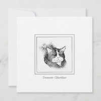 Domestic Shorthair Cat Chalk & Charcoal Sketch