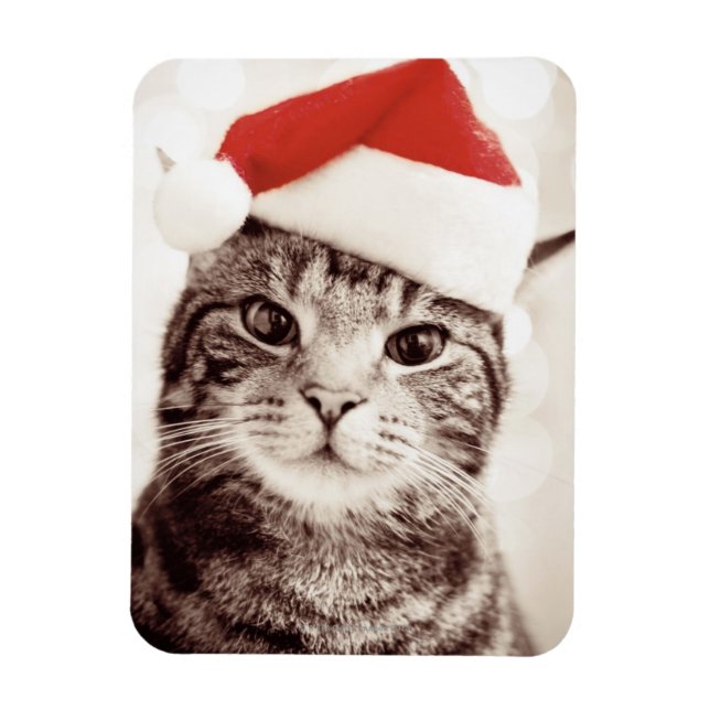 Domestic tabby cat wearing red Christmas hat Magnet (Vertical)