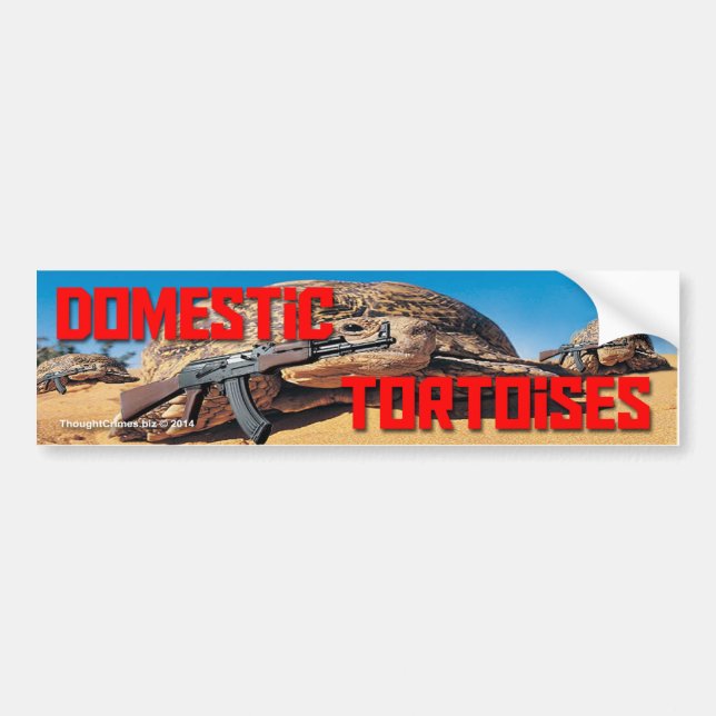 Domestic Tortoises Bumper Sticker (Front)