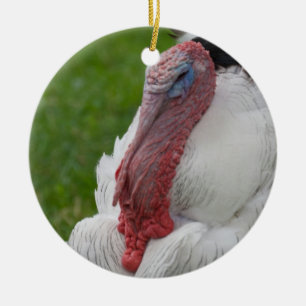 Domesticated Turkey Ceramic Tree Decoration