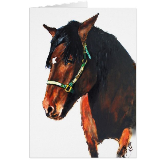 Domingo, of Marin County (Front)