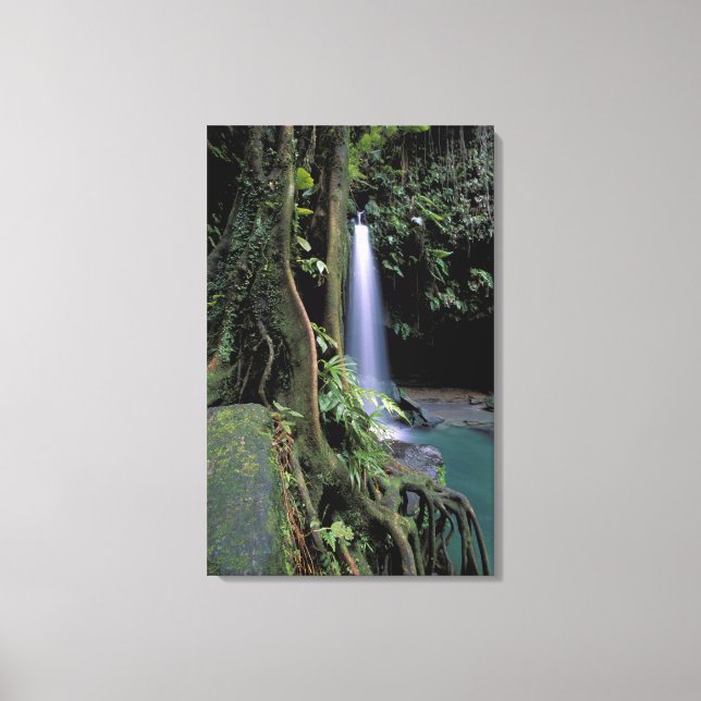 Dominica, Emerald Pool, Waterfall. Canvas Print (Front)