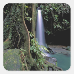 Dominica, Emerald Pool, Waterfall. Square Sticker