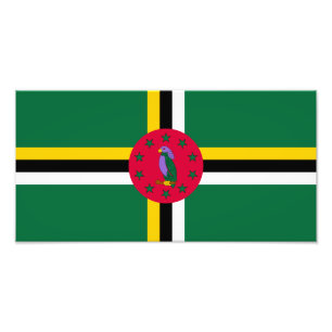 Dominica Flag Photo Print
