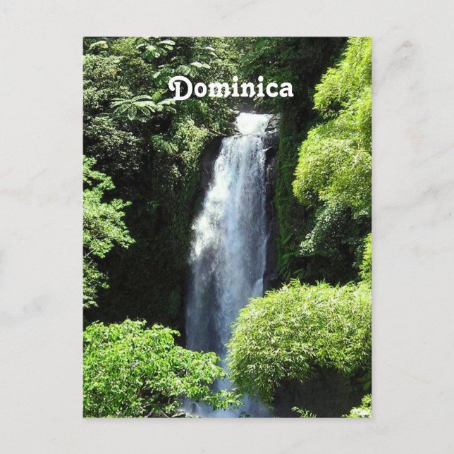 Dominica Postcard (Front)