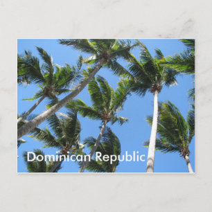 Dominican palm postcard