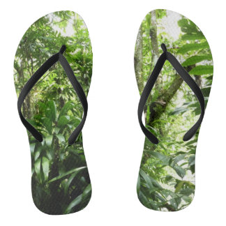Dominican Rain Forest I Tropical Green Nature Jandals