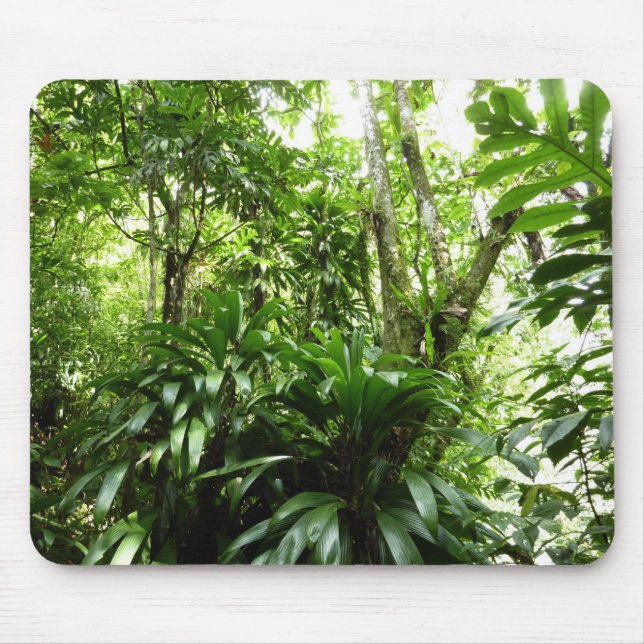 Dominican Rain Forest I Tropical Green Nature Mouse Pad (Front)