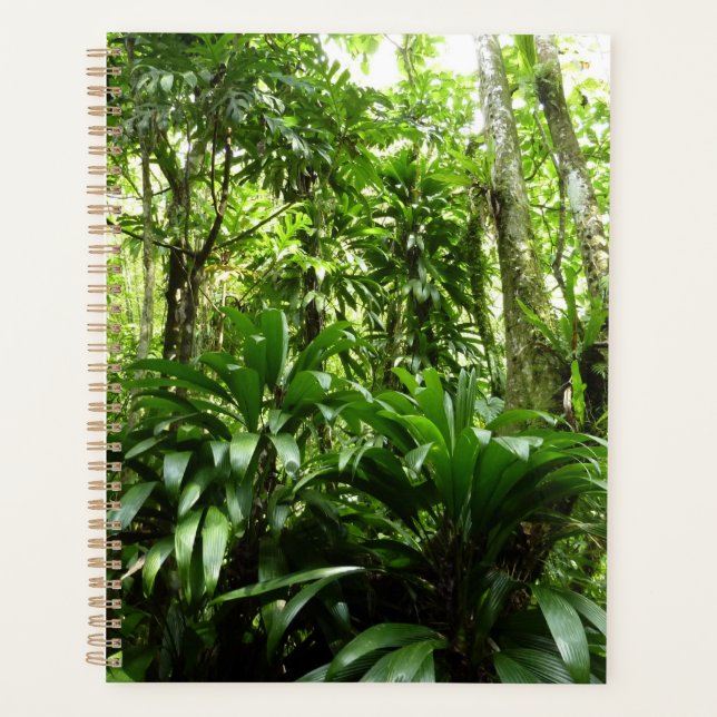 Dominican Rain Forest I Tropical Green Nature Planner (Front)