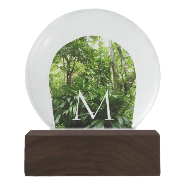 Dominican Rain Forest I Tropical Green Nature Snow Globe (Front)