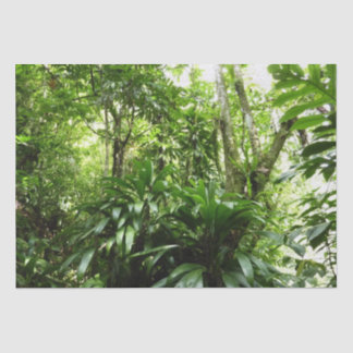 Dominican Rain Forest I Tropical Green Nature Tissue Paper