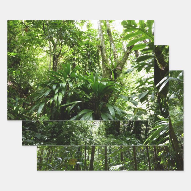 Dominican Rain Forest I Tropical Green Nature Wrapping Paper Sheet (Set)