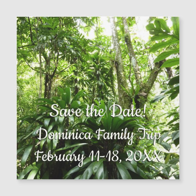 Dominican Rain Forest I Tropical Save the Date (Front)