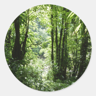 Dominican Rain Forest II Tropical Green Classic Round Sticker
